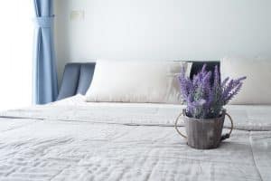 5 façons de vous endormir avec la lavande