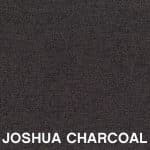 Joshua Charcoal
