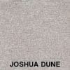 Joshua-Dune