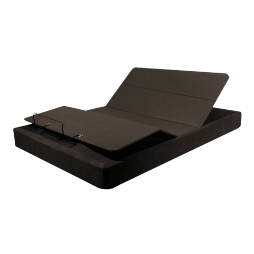 WR PNG ZEDFLEX 1