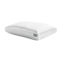 WR PNG TEMPUR DOWN AJUSTABLE SUPPORT OREILLER
