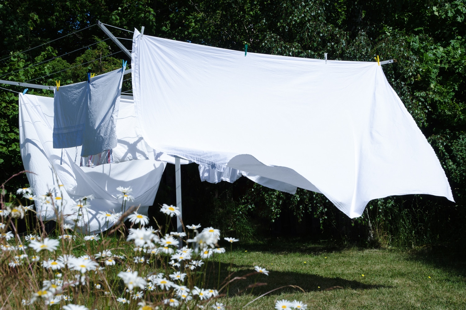 BLOGUE DRAPS
