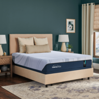 MATELAS TEMPUR PEDIC ALIGN 10 2.0 CHAMBRE