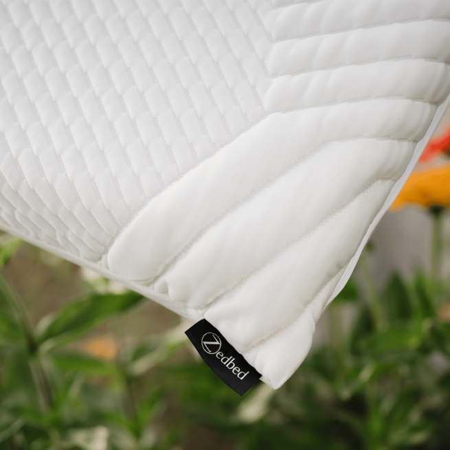 コロ助3号　Bosse & Baller 「Liebespaar」 Zedbed Cloud ZX 3″ Pillow - Matelas Bonheur