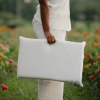 Zedbed Cloud ZX 3″ Pillow - Matelas Bonheur