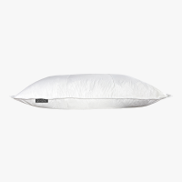 oxygene alpina pillow plat