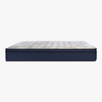 sealy posturepedic matelas livanto4.0 cote